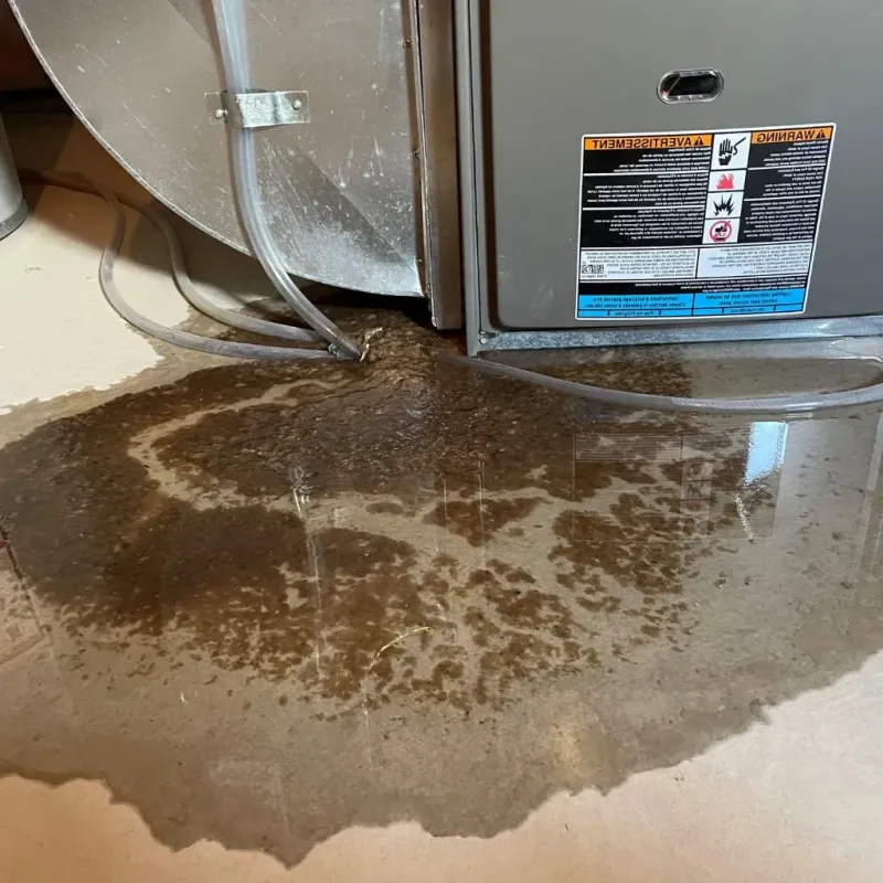 Pipe Burst and Leak Restoration in Middletown, CA