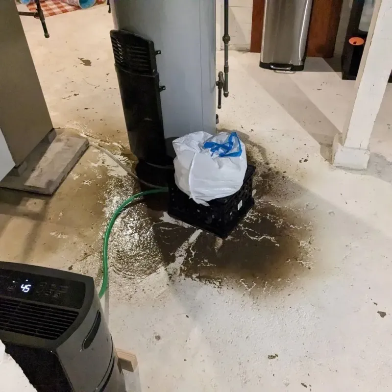 Sewage Backup Cleanup Service in Middletown, CA